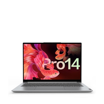 lenovo联想小新pro14ach202114英寸r716g512g集显亮银