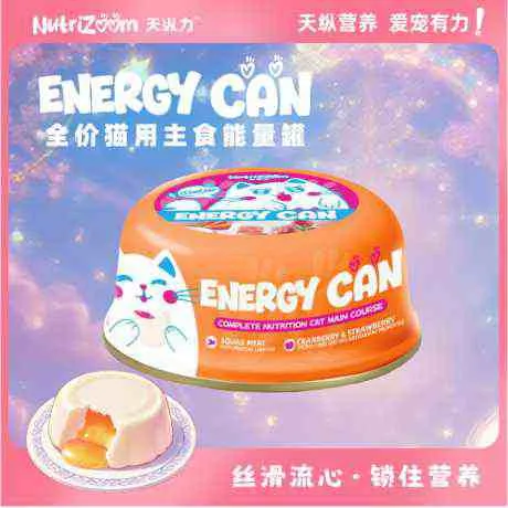 Nutrizoom 天纵力全价猫用主食能量罐（乳鸽流心莓莓-鸽肉配方）85g*12 85g*12罐