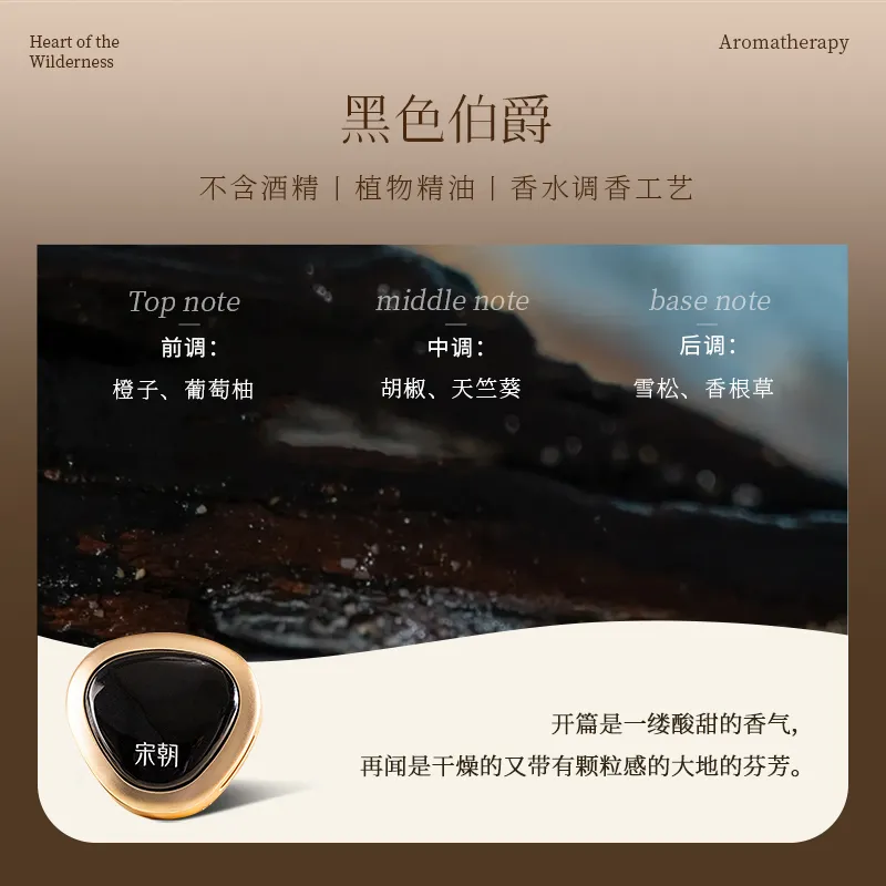 【特卖】SONGCHAO 宋朝 【品牌清仓】旷野之心车载 黑曜石（黑色伯爵)/13g（6.5g/片*2）