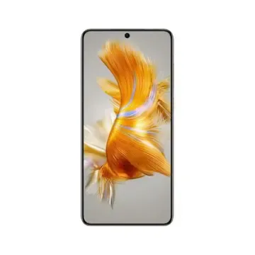 华为 Mate 50E 4G CET-AL60 256GB 全网通版 曜金黑 6.7英寸（屏幕）