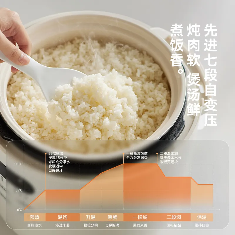 立时 电压力锅 （智能款）5L--双内胆（岩黑）
