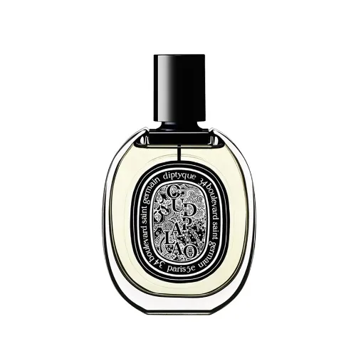 diptyque帕劳乌木香调淡香精