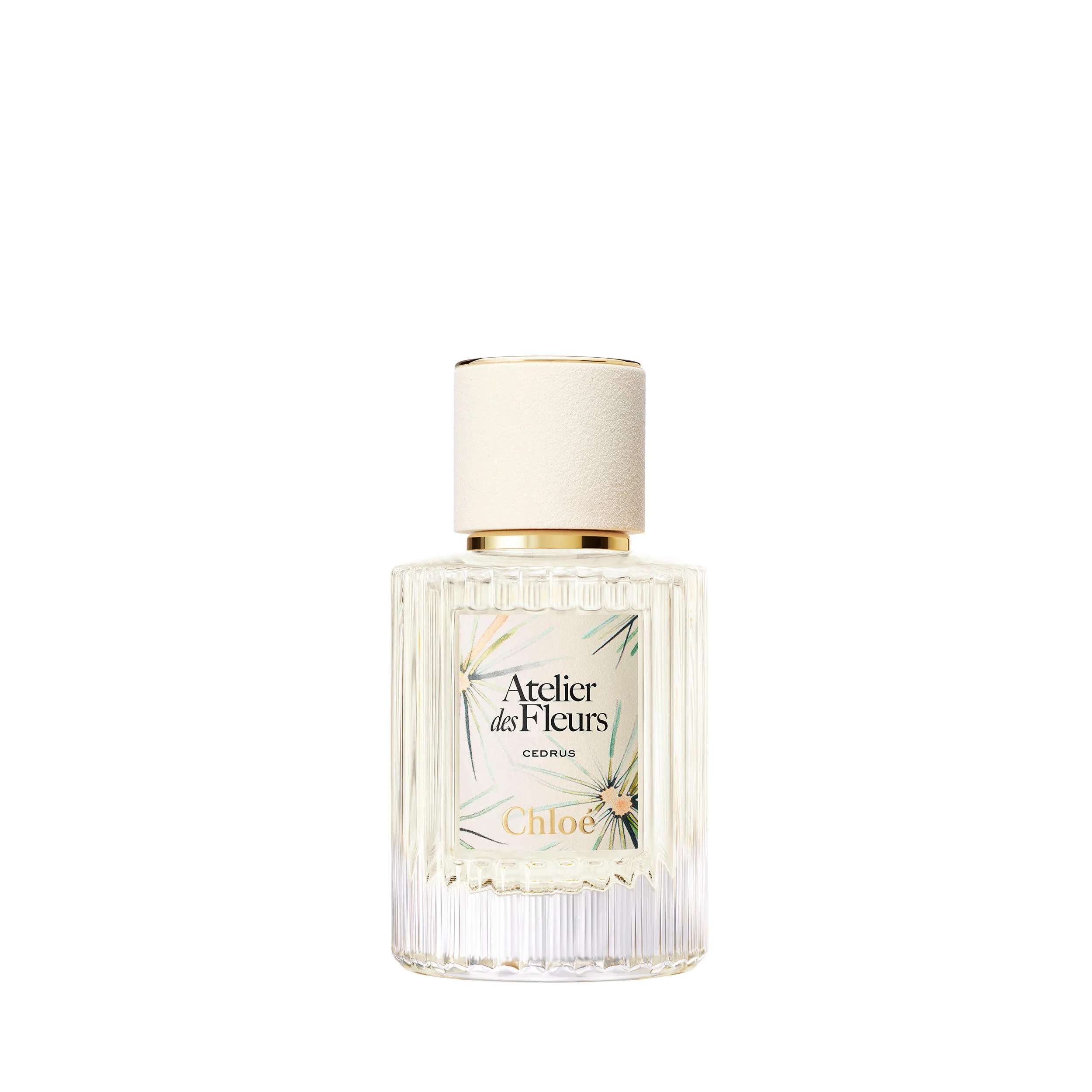 Chloé 蔻依 仙境花园系列香氛-北国雪松 50ml