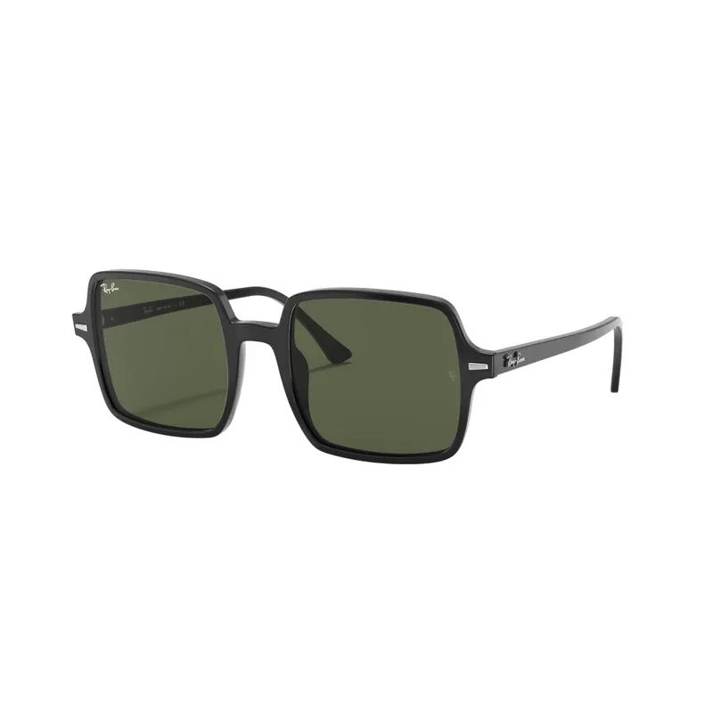 RAY-BAN雷朋太阳镜 0RB1973901/3153
