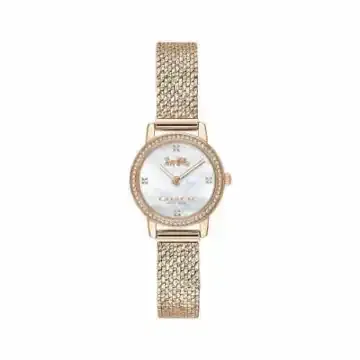 Coach蔻驰AUDREY石英表14503372