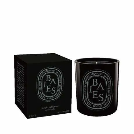 diptyque彩色香氛蜡烛-黑色浆果香 300g